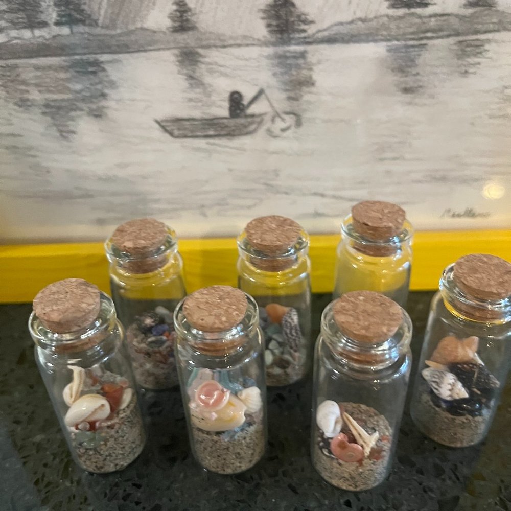 Sea Shells from Heaven